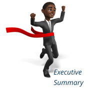 Executive Summary